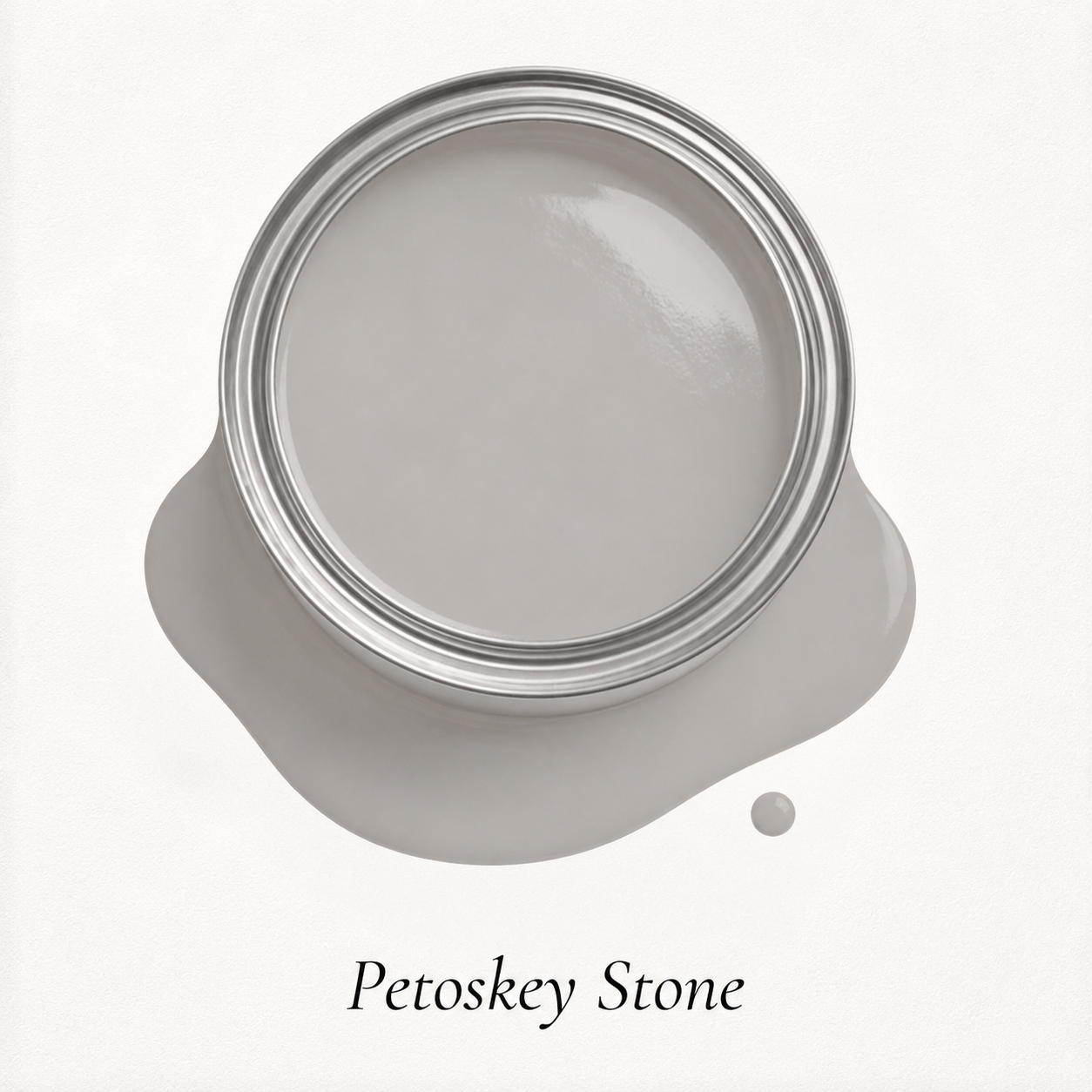 Petoskey Stone